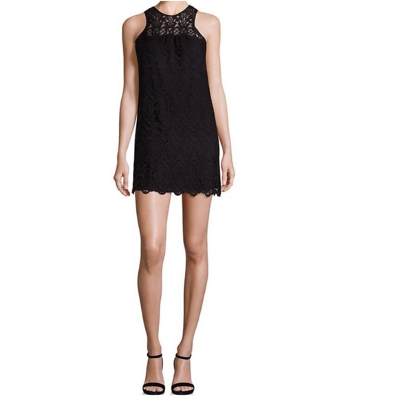 JOIE Fahfia B Lace Sleeveless Crewneck Sheer Yoke Scallop Hem Shift Dress Caviar - Picture 4 of 4